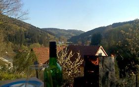 Fewo Pacohaus Naehe Willingen Diemelsee