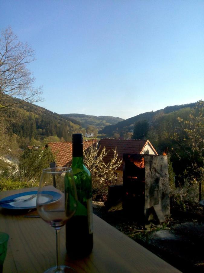 Fewo Pacohaus Naehe Willingen Diemelsee Brilon Buitenkant foto