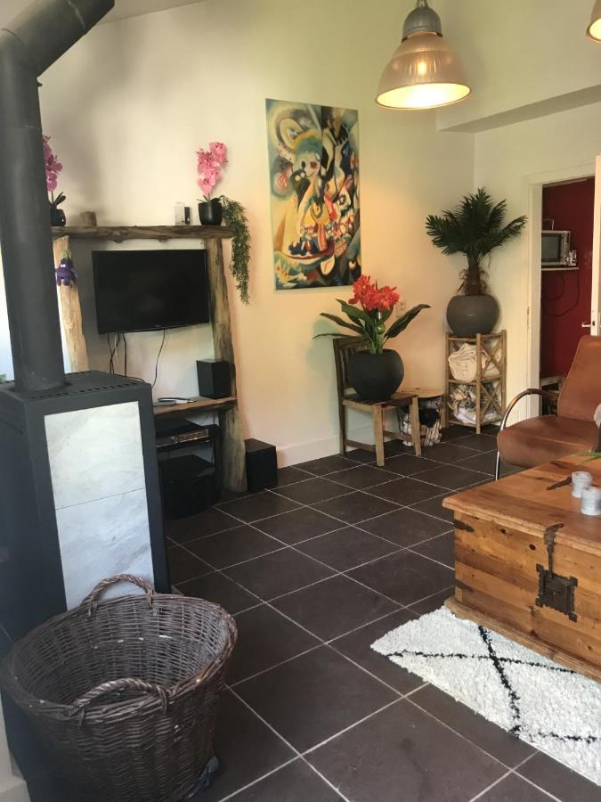 Fewo Pacohaus Naehe Willingen Diemelsee Brilon Buitenkant foto